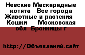 Невские Маскарадные котята - Все города Животные и растения » Кошки   . Московская обл.,Бронницы г.